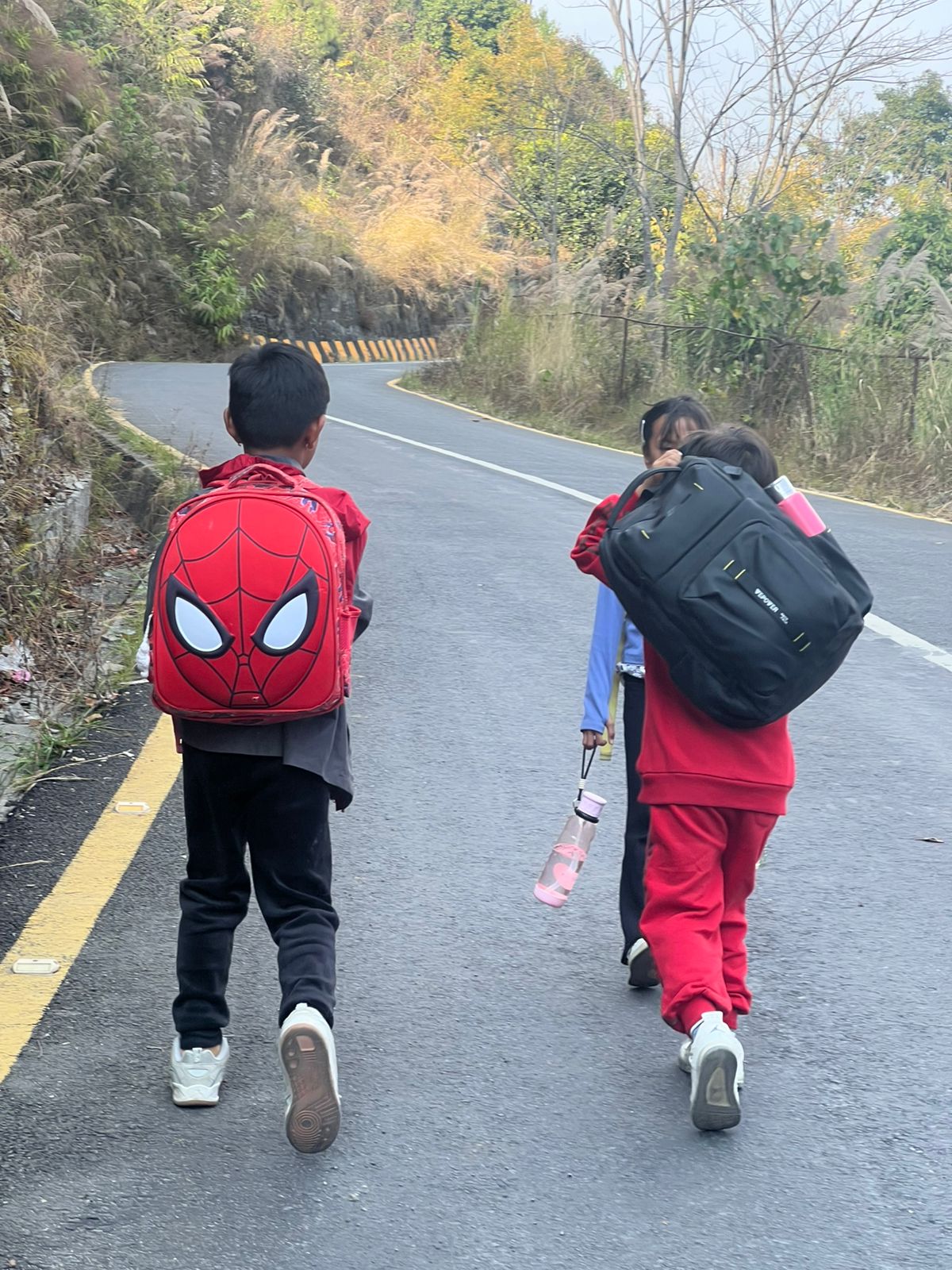 School Activity